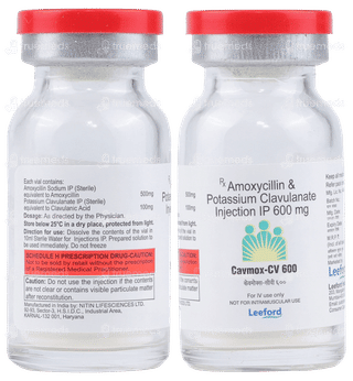 Cavmox Cv 600 Injection 1